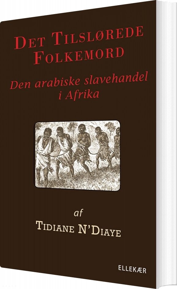 Det Tilslørede Folkemord - Tidiane N'diaye - Bog