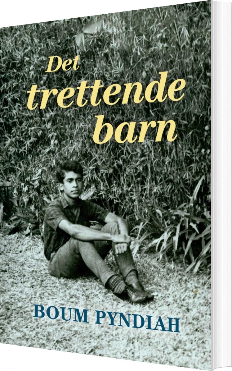 Billede af Det Trettende Barn - Boum Pyndiah - Bog