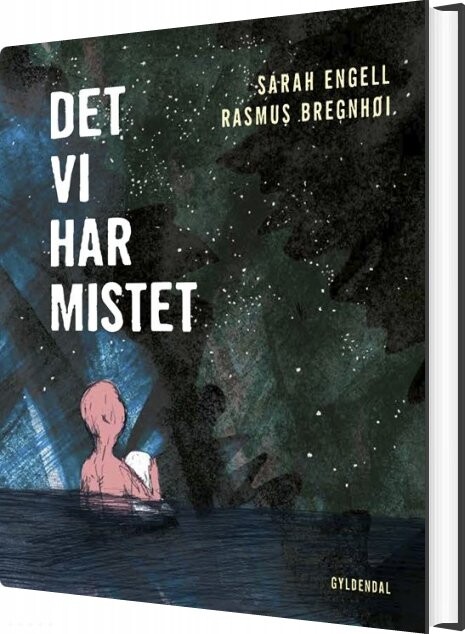 Billede af Det Vi Har Mistet - Sarah Engell - Bog