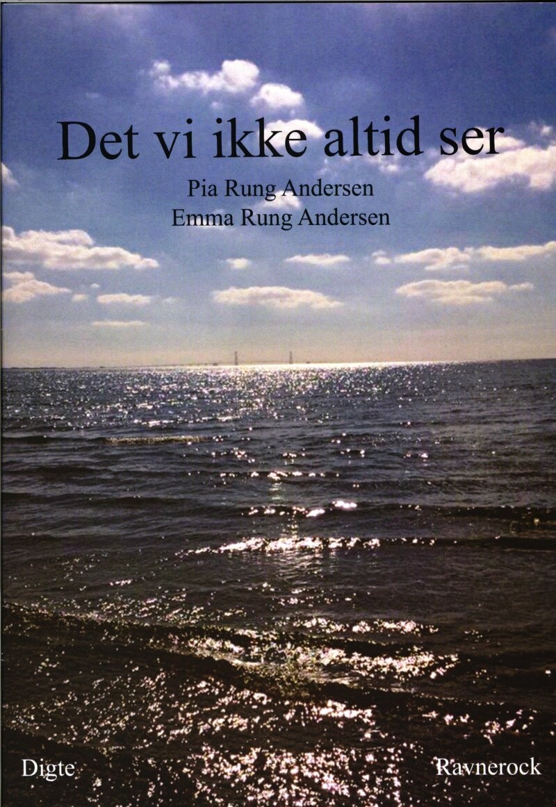 Billede af Det Vi Ikke Altid Ser - Pia Rung Andersen - Bog