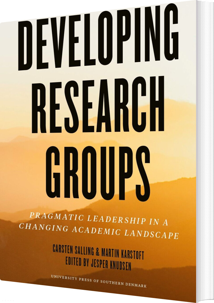Developing Research Groups - Carsten Salling - English Book