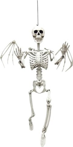 Billede af Dga - Skelet Med Vinger - 90 Cm