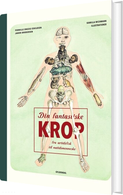Din Fantastiske Krop - Fra Urtidsfisk Til Nutidsmenneske - Kamilla Wichmann - Bog