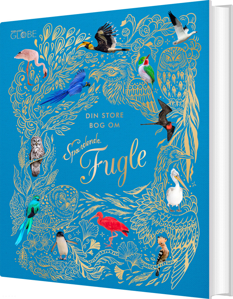 Din Store Bog Om Spændende Fugle - Ben Hoare - Bog