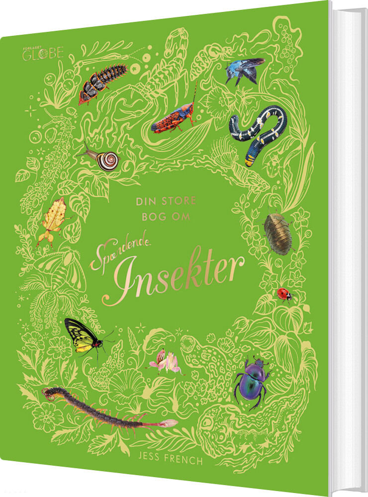 Din Store Bog Om Spændende Insekter - Jess French - Bog