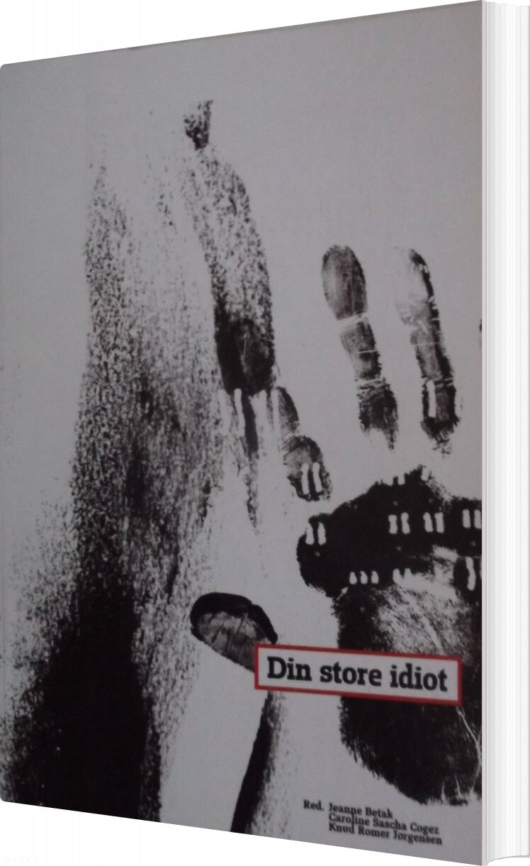 Din Store Idiot – . – Bog