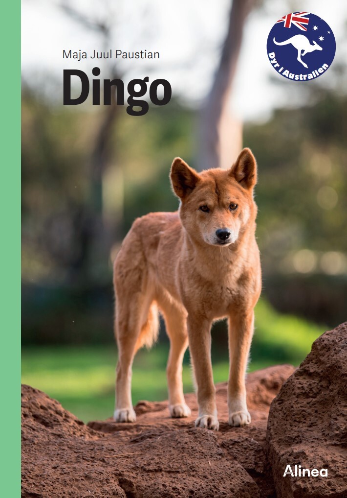 Billede af Dingo, Grøn Fagklub - Maja Juul Paustian - Bog