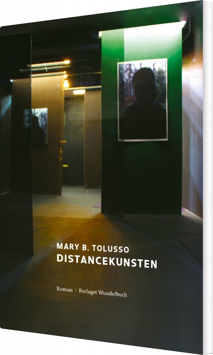 Billede af Distancekunsten - Mary B. Tolusso - Bog