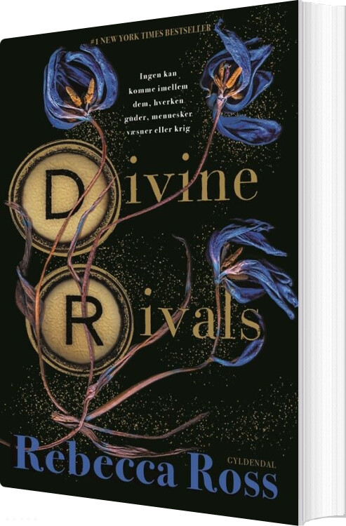 Billede af Divine Rivals - Rebecca Ross - Bog