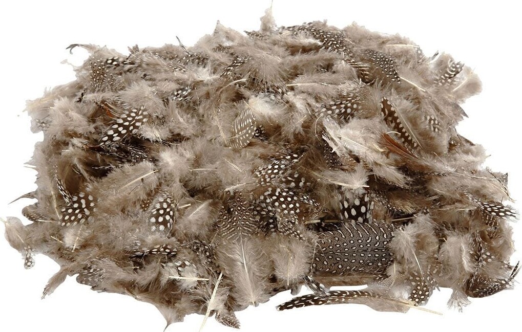 Perlehønsfjer - Natur - 50 G billede