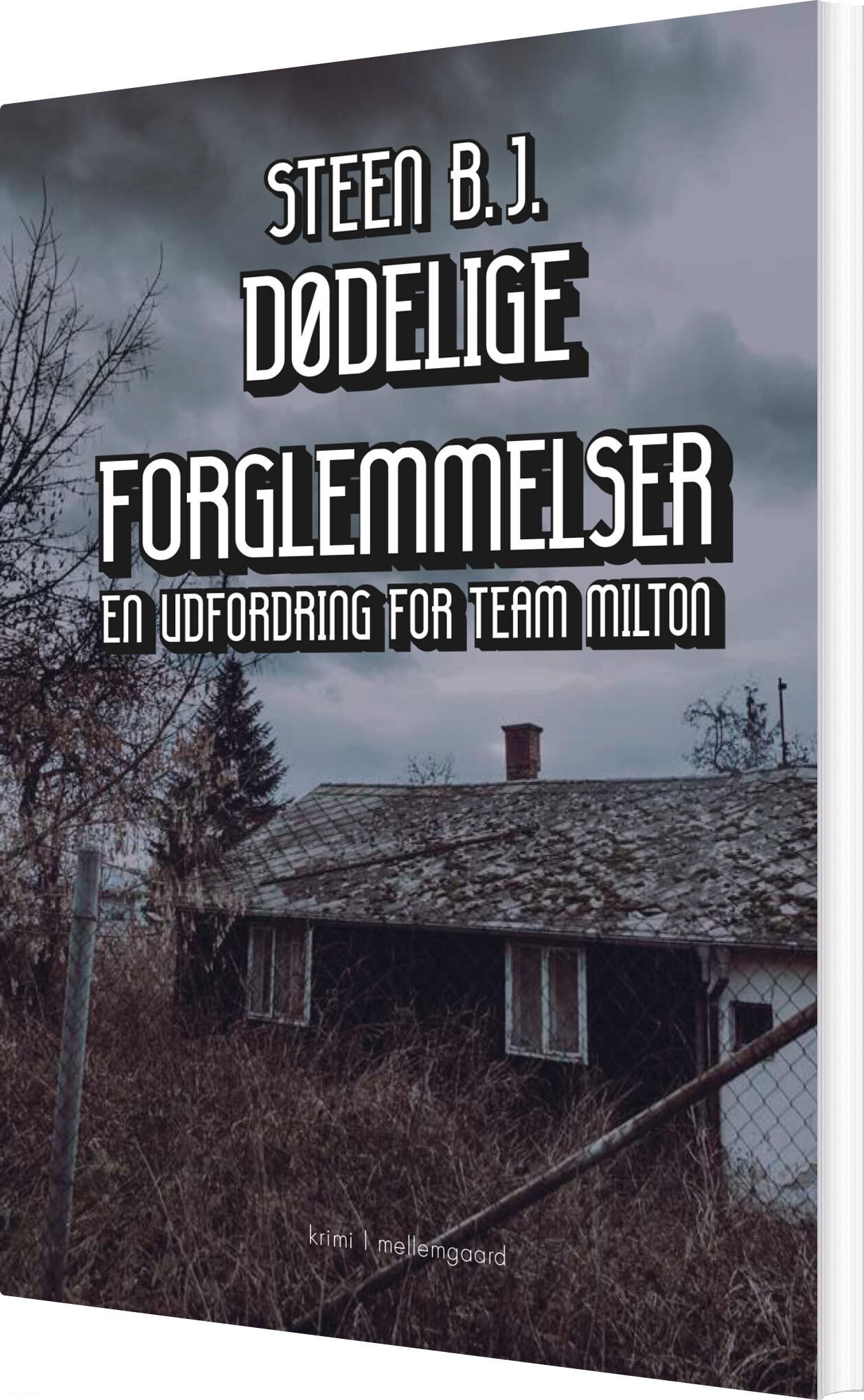 Dødelige Forglemmelser - Steen B.j - Bog