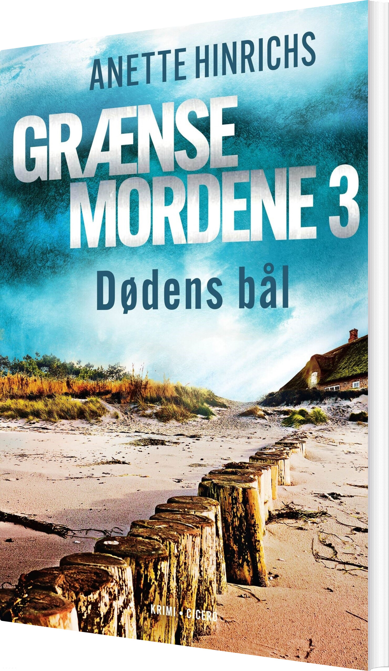 Dødens Bål - Anette Hinrichs - Bog