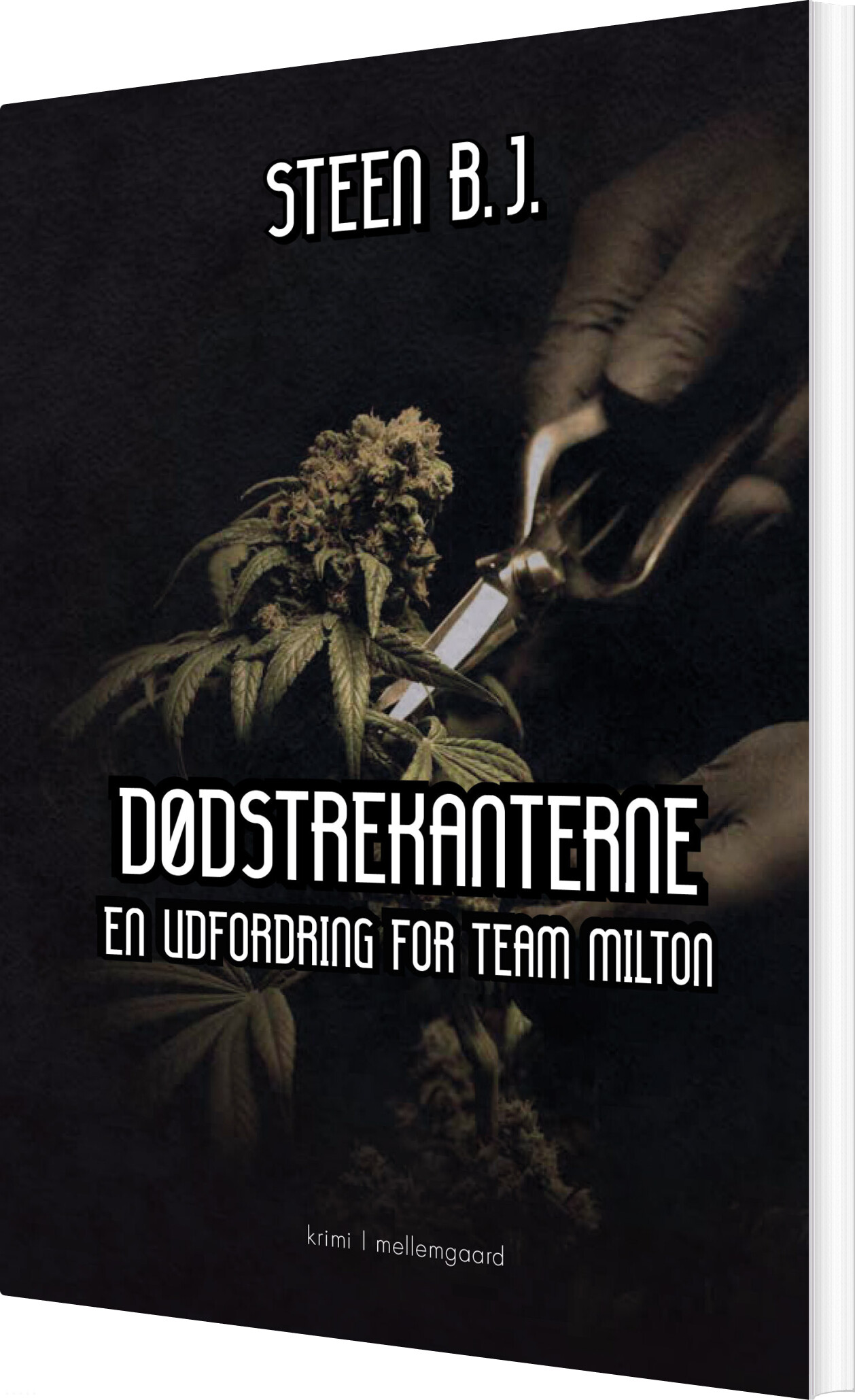 Dødstrekanterne - Steen B.j - Bog