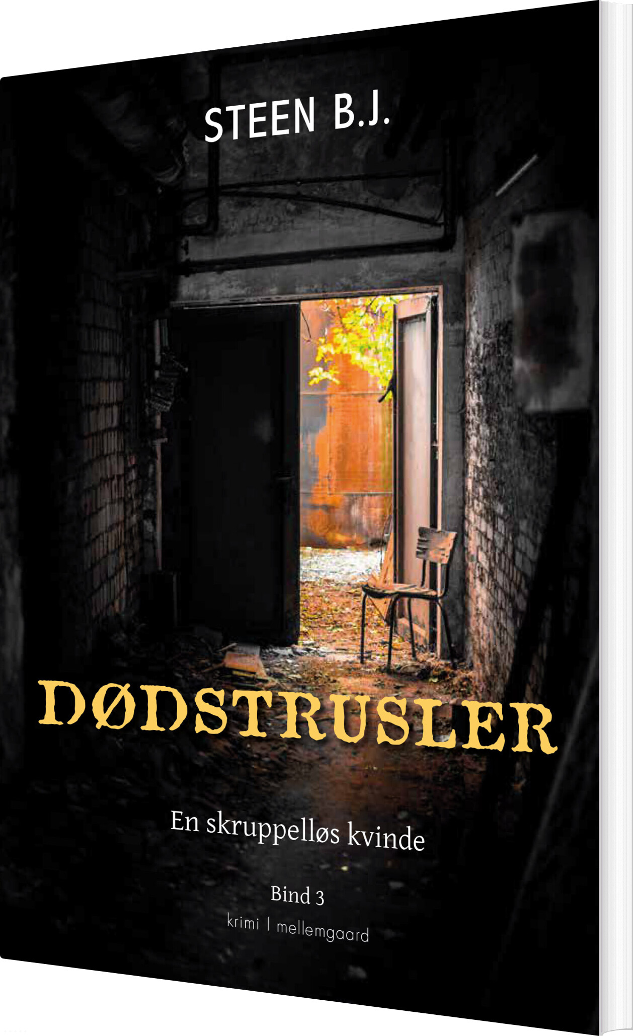 Dødstrusler - Steen B.j - Bog