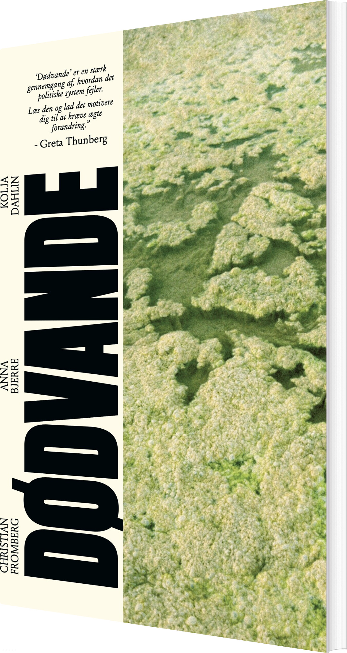 Dødvande - Christian Fromberg - Bog