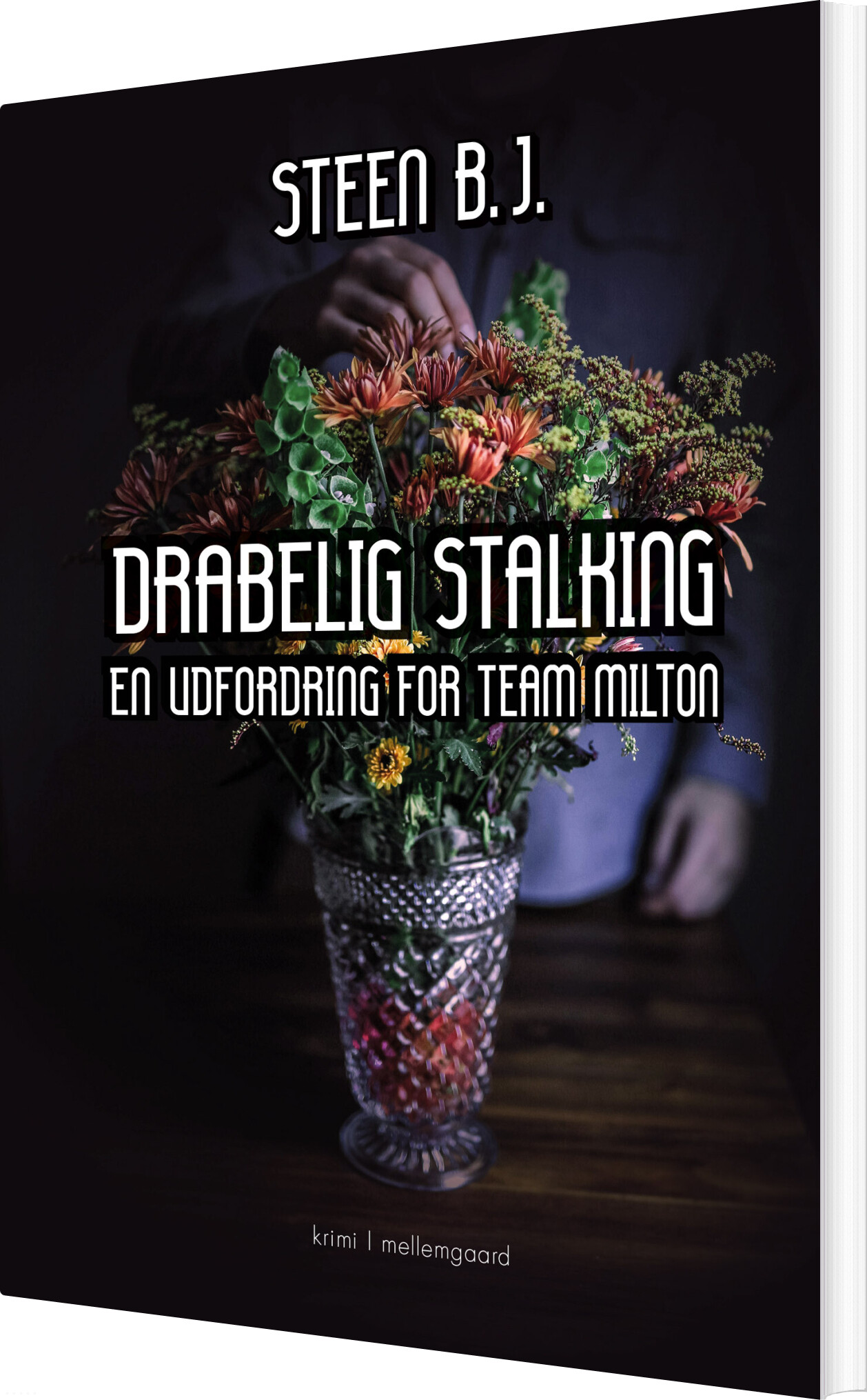 Drabelig Stalking - Steen B.j - Bog