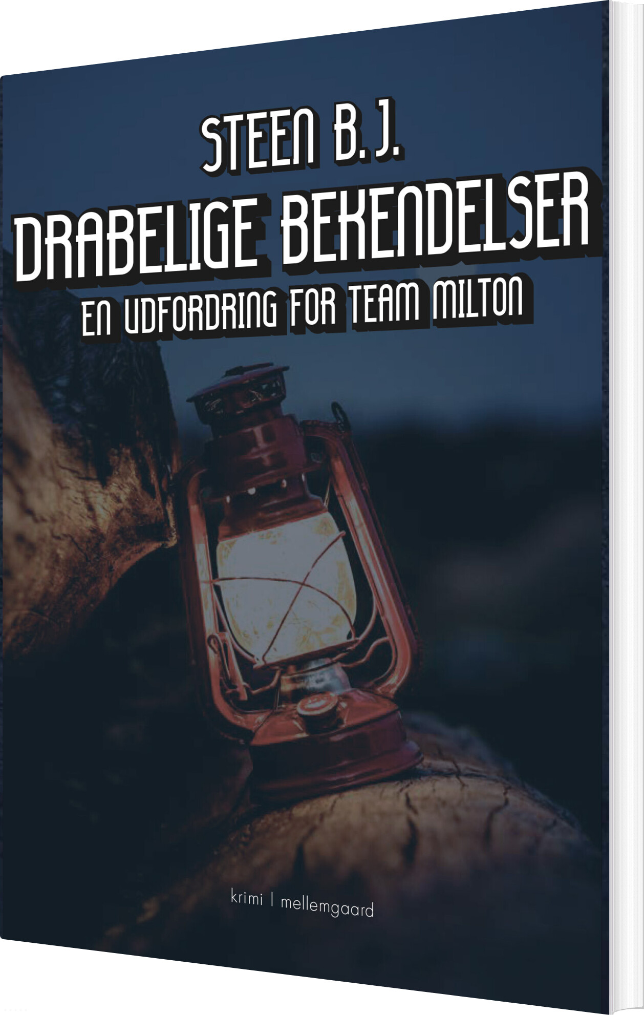 Drabelige Bekendelser - Steen B.j - Bog