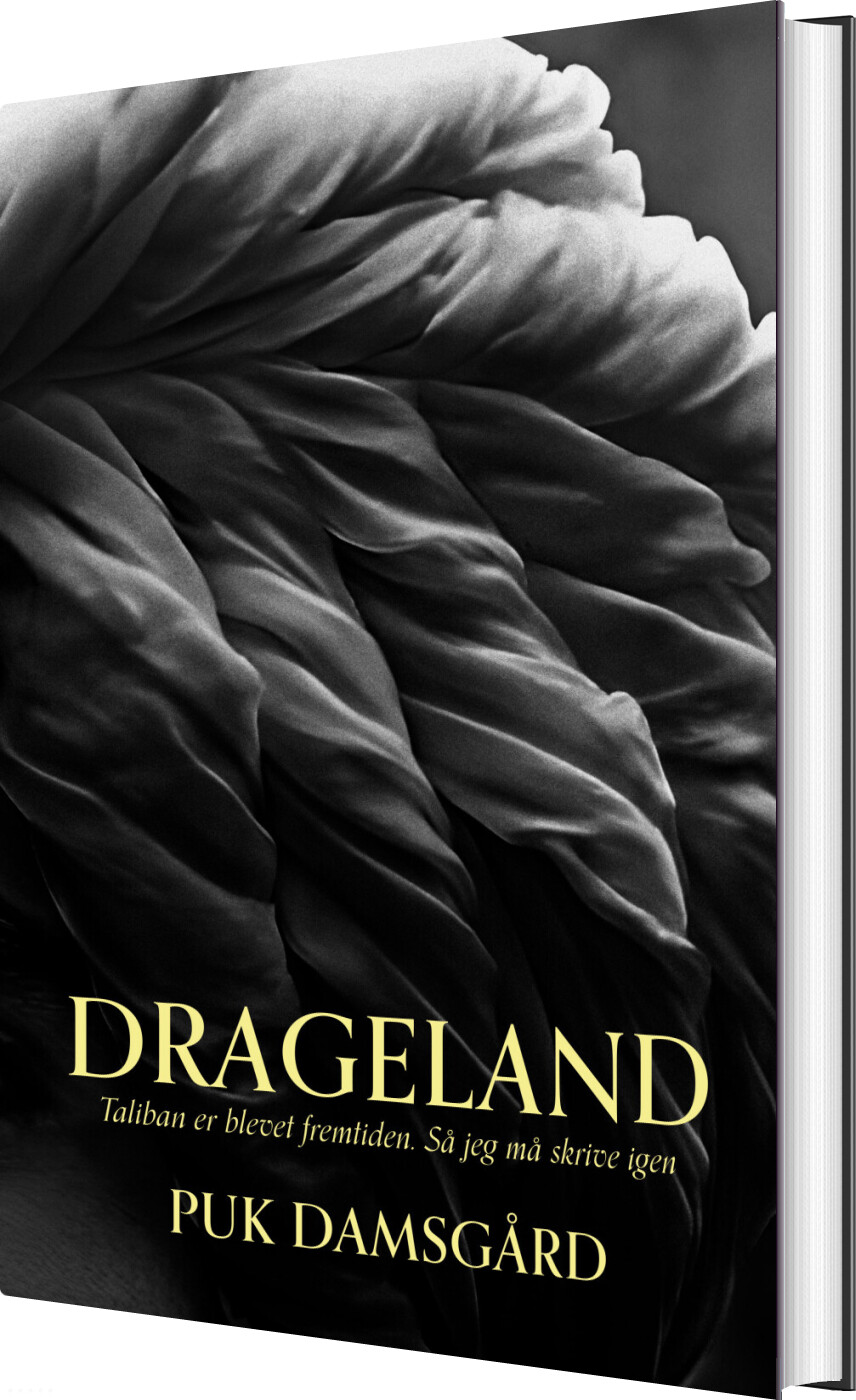 Billede af Drageland - Puk Damsgård - Bog