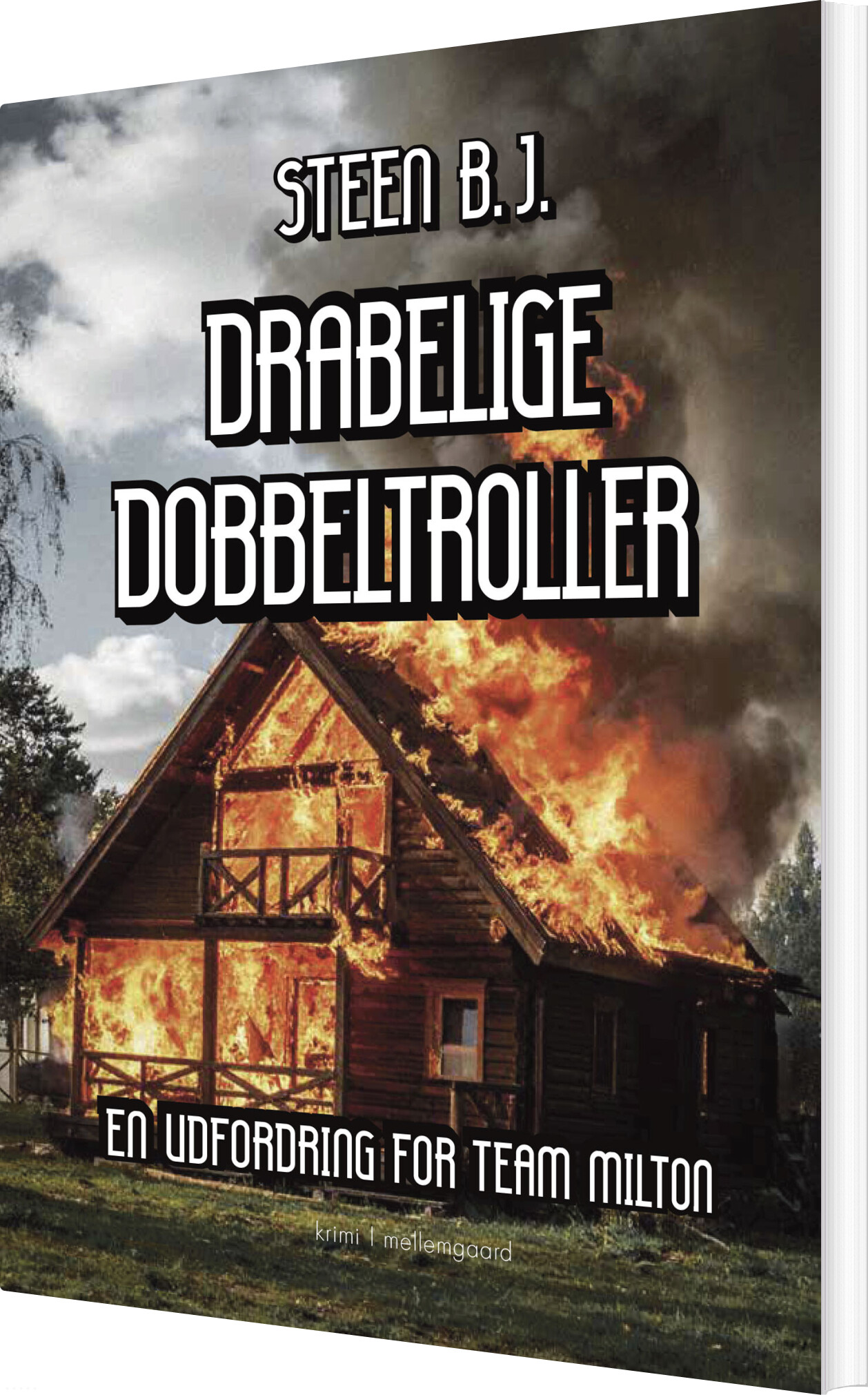 Dragelige Dobbeltroller - Steen B.j - Bog