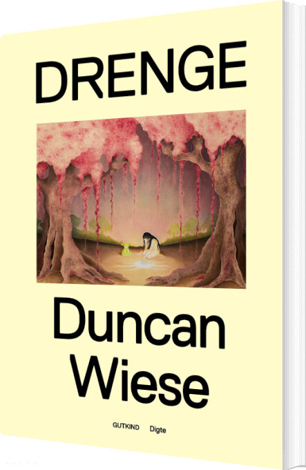 Drenge - Duncan Wiese - Bog