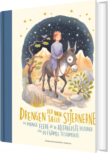 Billede af Drengen Der Ville Tælle Stjernerne - Louise Langhoff Koch - Bog