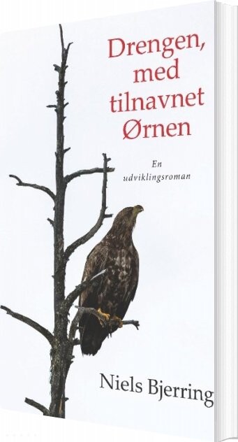 Billede af Drengen, Med Tilnavnet ørnen - Niels Bjerring - Bog