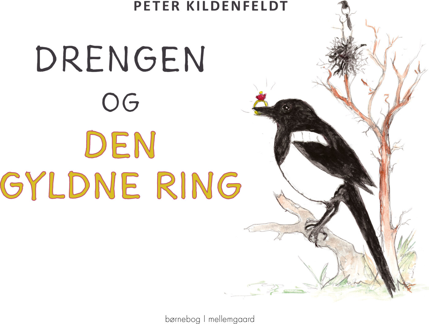 Billede af Drengen Og Den Gyldne Ring - Peter Kildenfeldt - Bog hos Gucca.dk