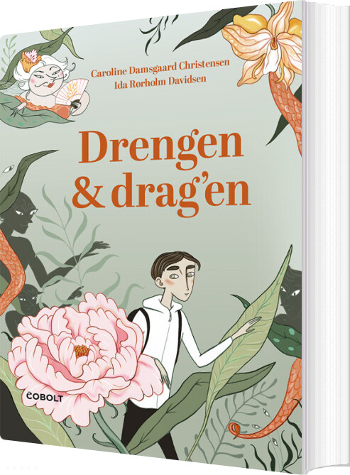 Billede af Drengen Og Drag'en - Ida Rørholm Davidsen - Bog hos Gucca.dk