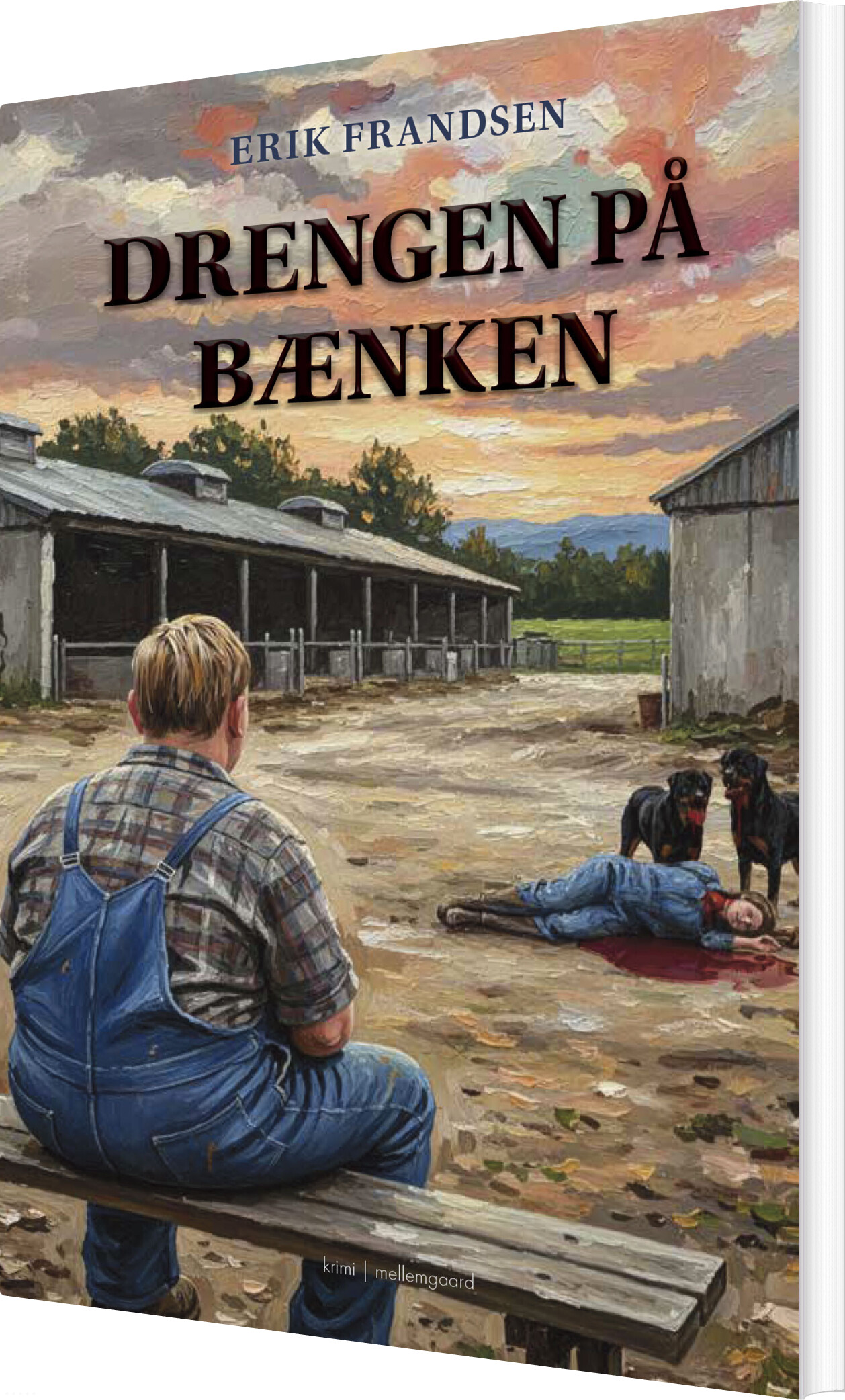 Drengen På Bænken - Erik Frandsen - Bog