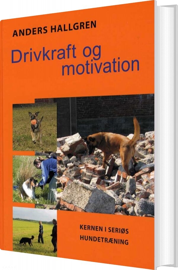 Billede af Drivkraft Og Motivation - Anders Hallgren - Bog