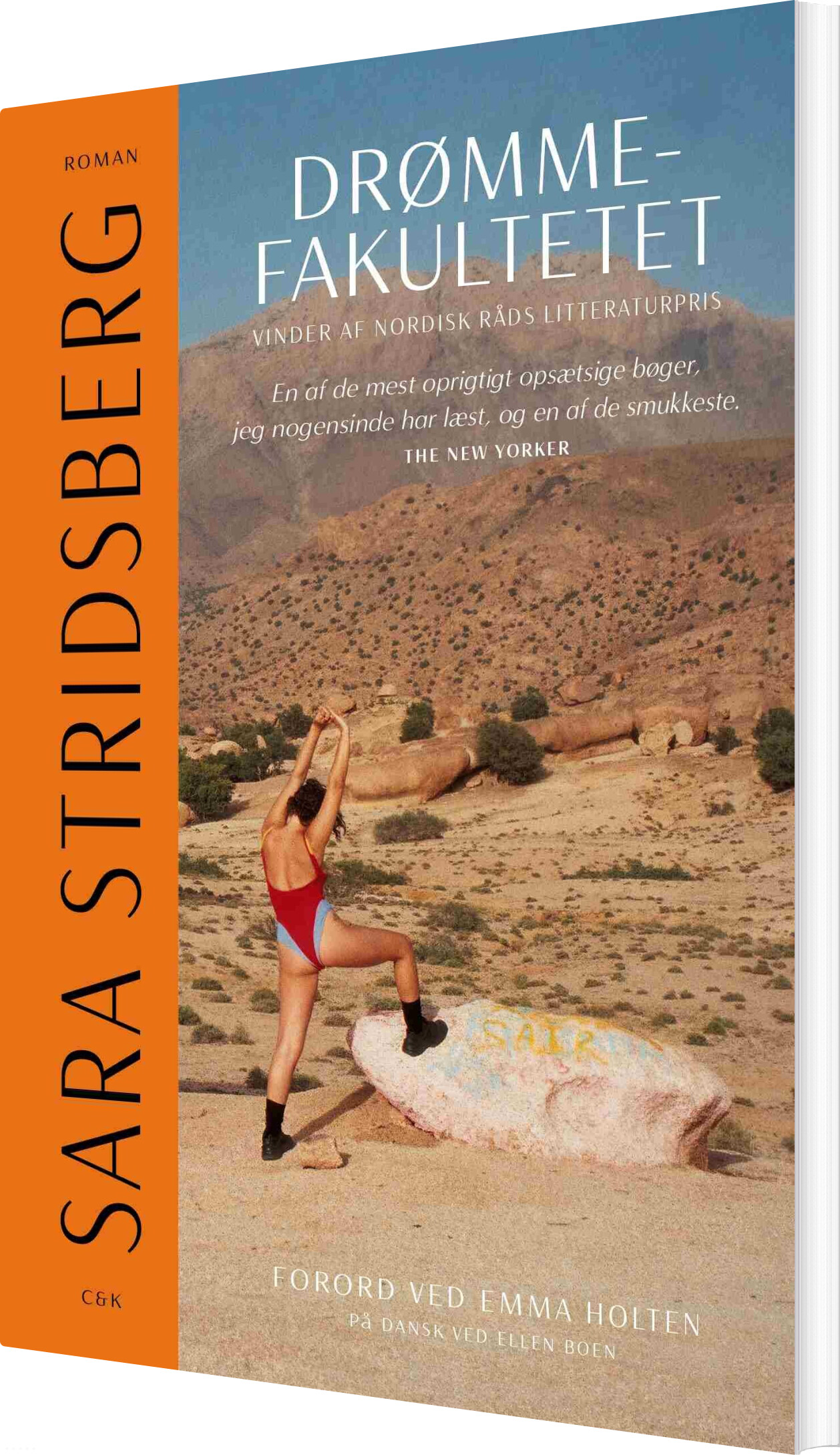 Drømmefakultetet - Sara Stridsberg - Bog