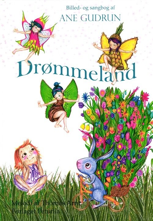 Billede af Drømmeland - Ane Gudrun - Bog