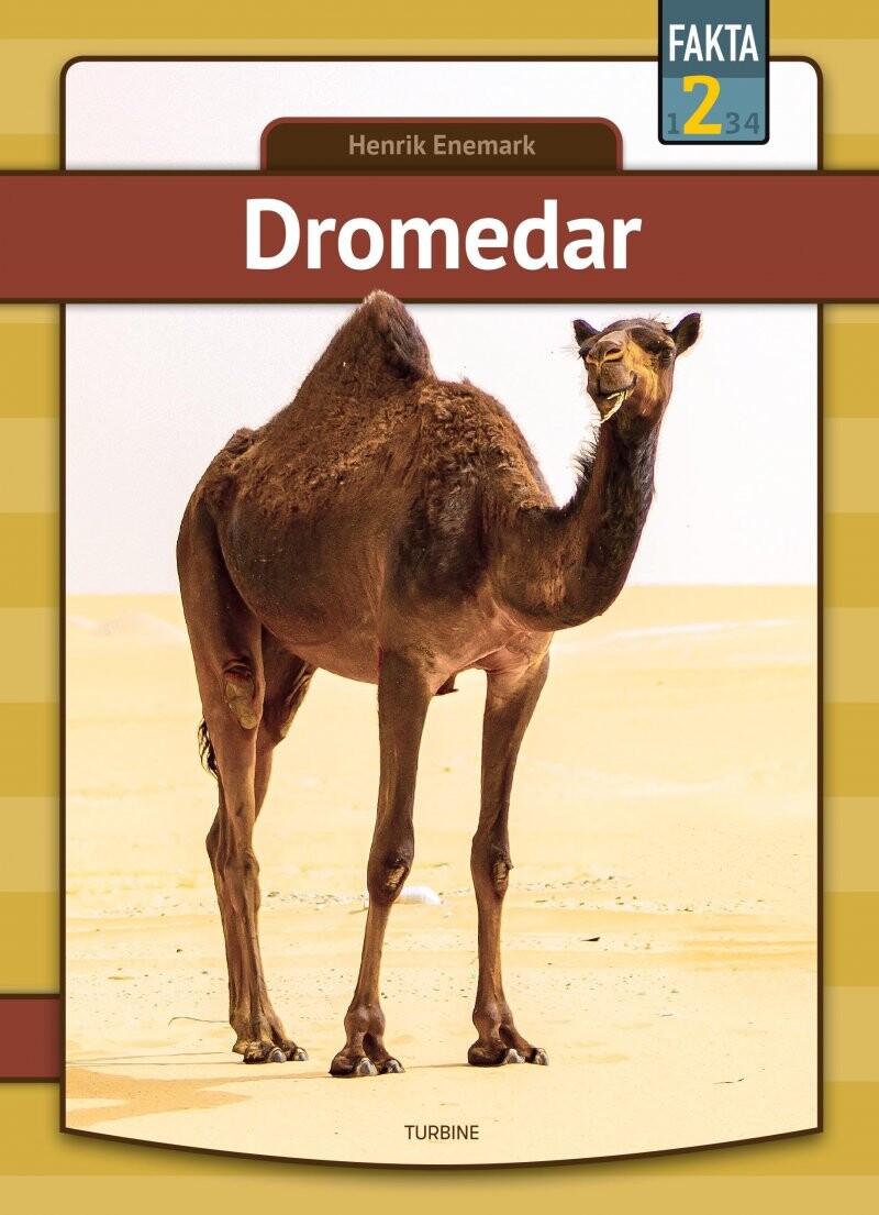 Billede af Dromedar - Henrik Enemark - Bog