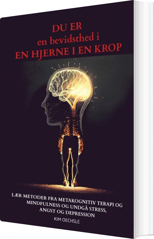 Billede af Du Er En Bevidsthed I En Hjerne I En Krop - Kim Oechsle - Bog
