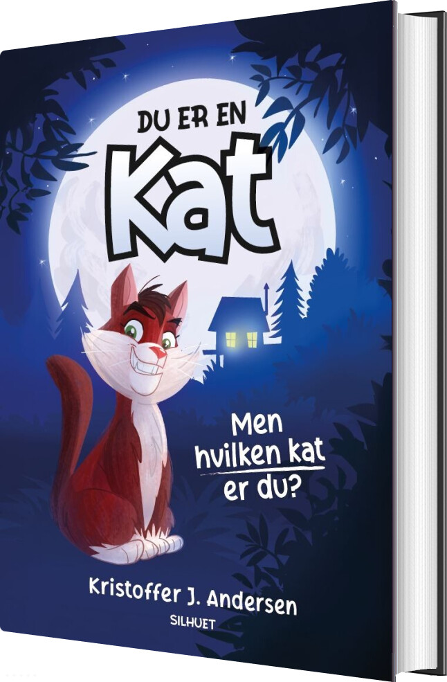 Du Er En Kat - Kristoffer J. Andersen - Bog
