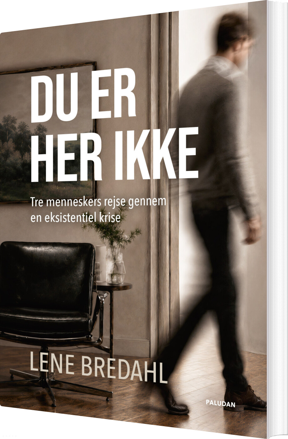 Du Er Her Ikke - Lene Brehdahl - Bog