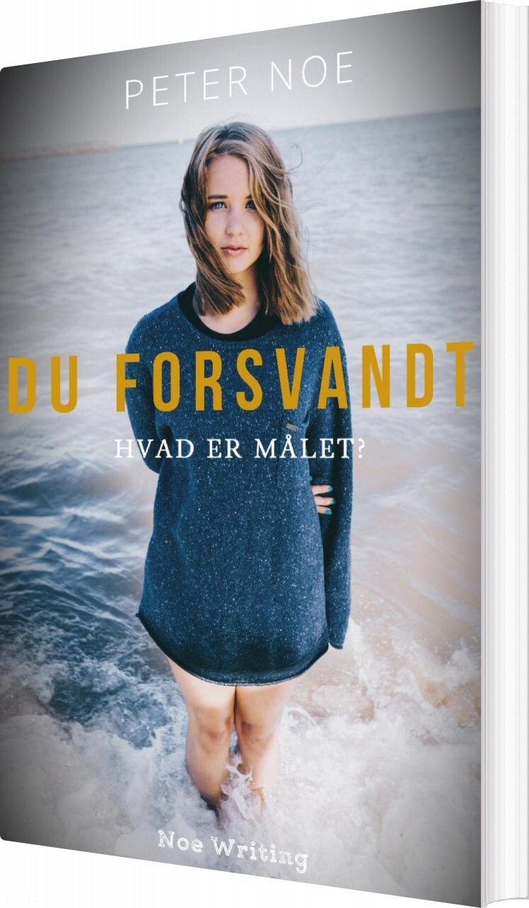 Billede af Du Forsvandt - Peter Noe - Bog