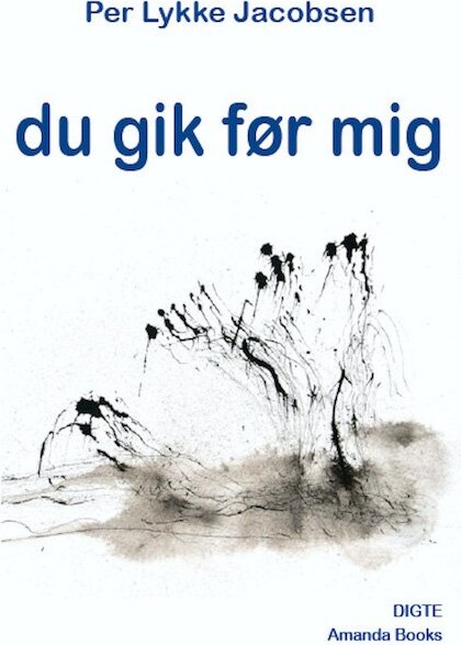 Billede af Du Gik Før Mig - Per Lykke Jacobsen - Bog