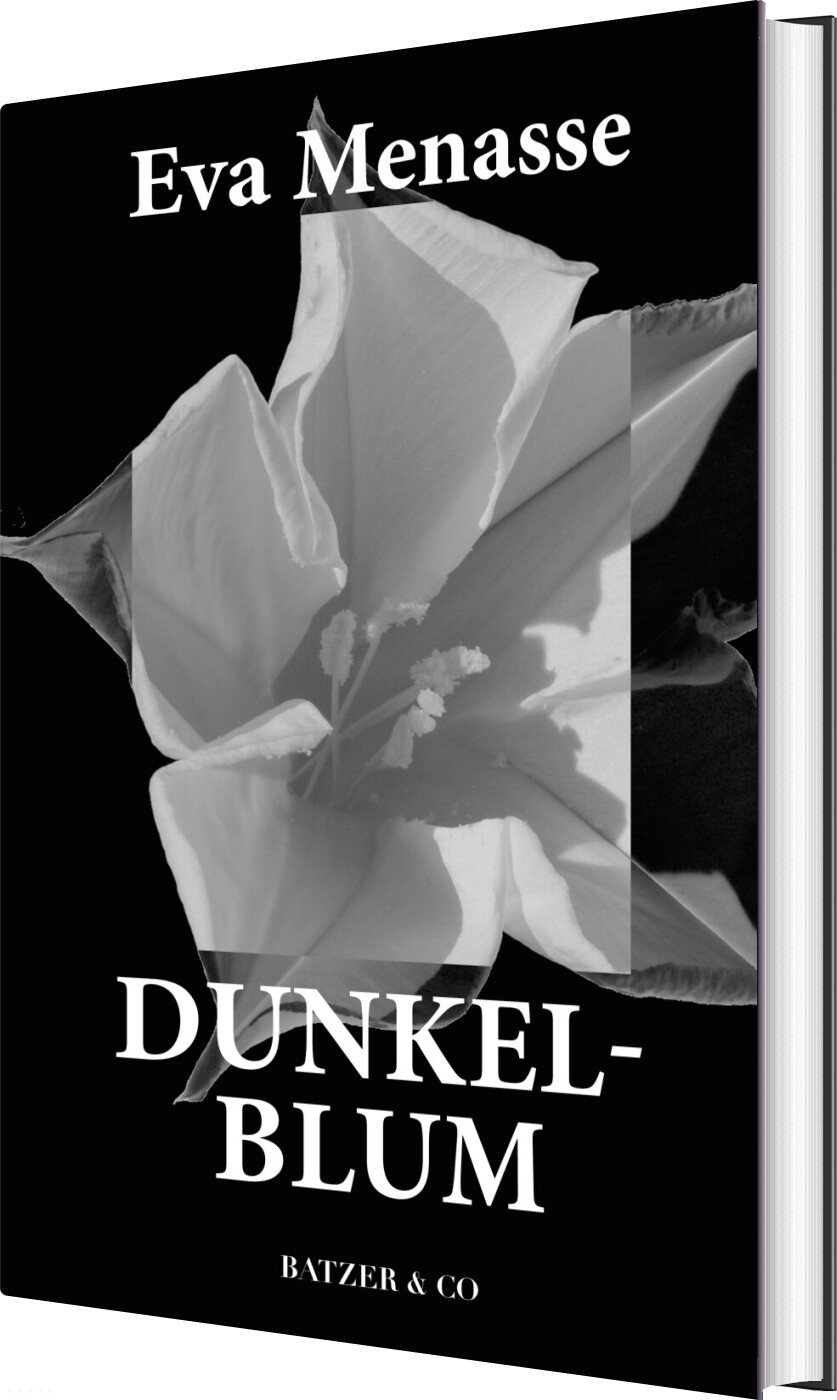Billede af Dunkelblum - Eva Menasse - Bog