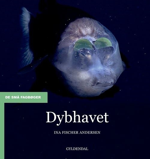 Dybhavet - Ina Fischer Andersen - Bog