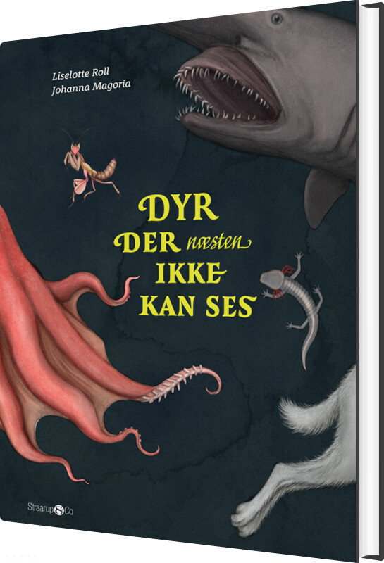 Dyr Der Næsten Ikke Kan Ses - Liselotte Roll - Bog