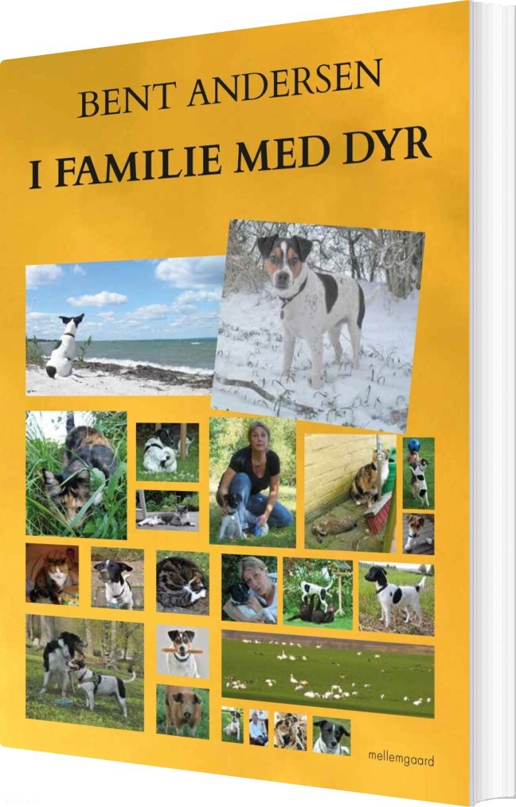 I Familie Med Dyr - Bent Andersen - Bog