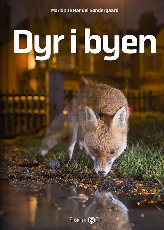 Dyr I Byen - Marianne Randel Søndergaard - Bog - Straarup & Co