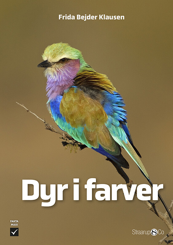 Dyr I Farver - Frida Bejder Klausen - Bog - Straarup & Co