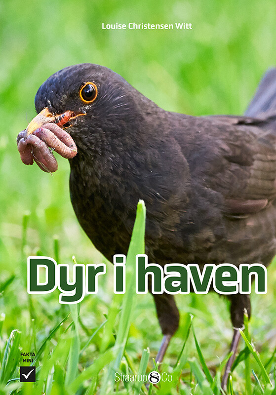 Dyr I Haven - Louise Christensen Witt - Bog - Straarup & Co