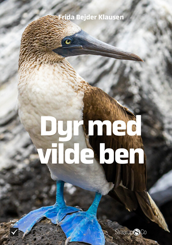 Dyr Med Vilde Ben - Frida Bejder Klausen - Bog