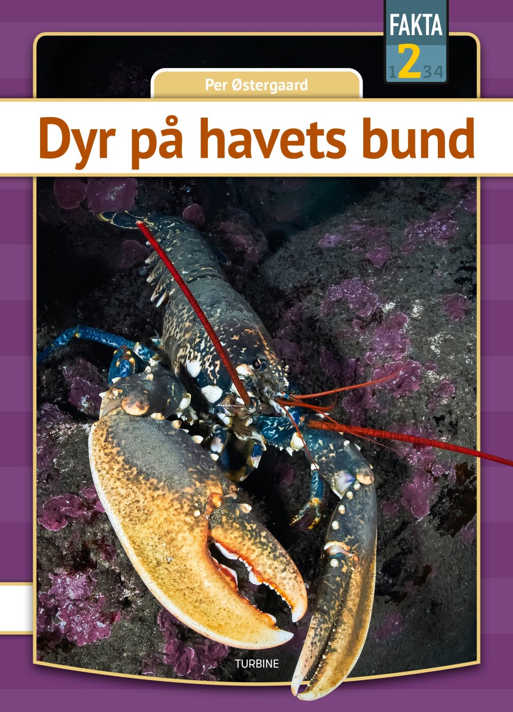 Dyr På Havets Bund - Per østergaard - Bog