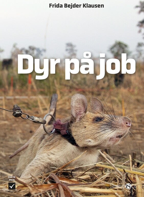 Dyr På Job - Frida Bejder Klausen - Bog - Straarup & Co