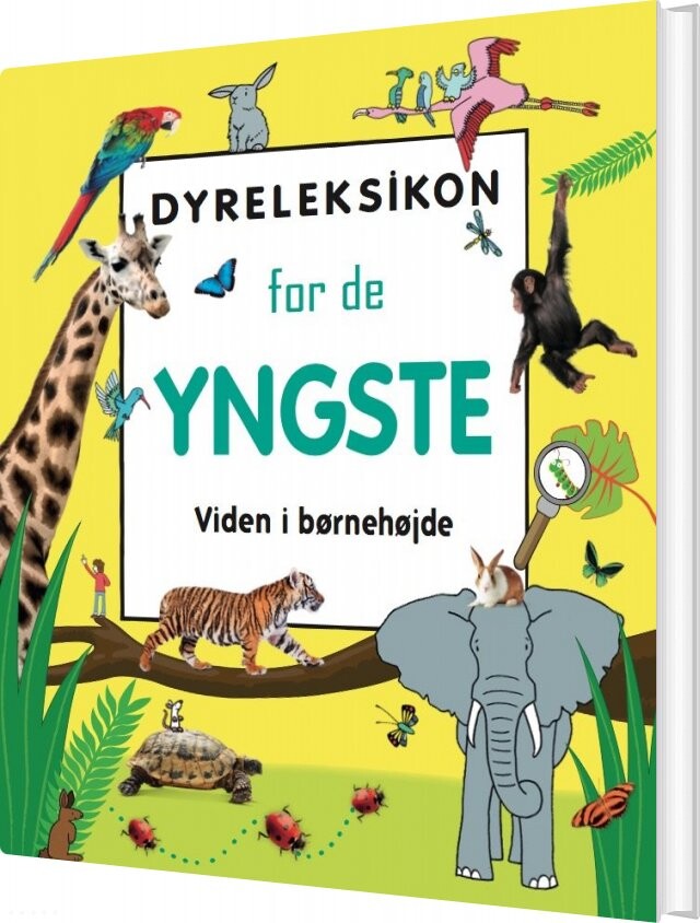 Dyreleksikon For De Yngste - Diverse - Bog