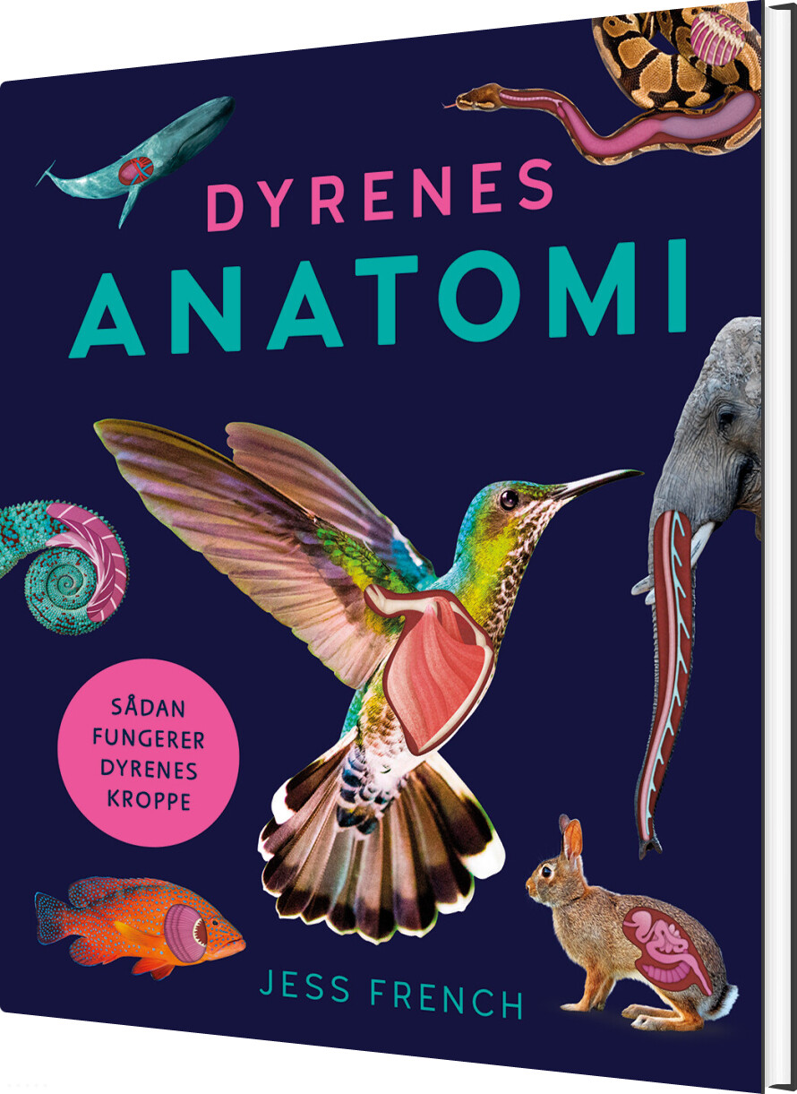 Dyrenes Anatomi - Jess French - Bog